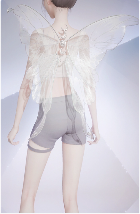 蝴蝶梦预览.png