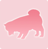 宠物动作·吃饭-造型2图标.png