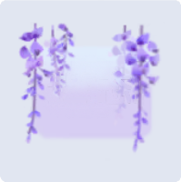 气泡·紫藤情书图标.png