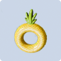 泳圈·半颗金菠萝图标.png