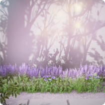 场景·斜晖小径图标.png
