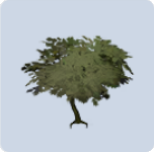 家具·绿意连荫图标.png