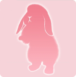 宠物动作·转转惹人爱图标.png