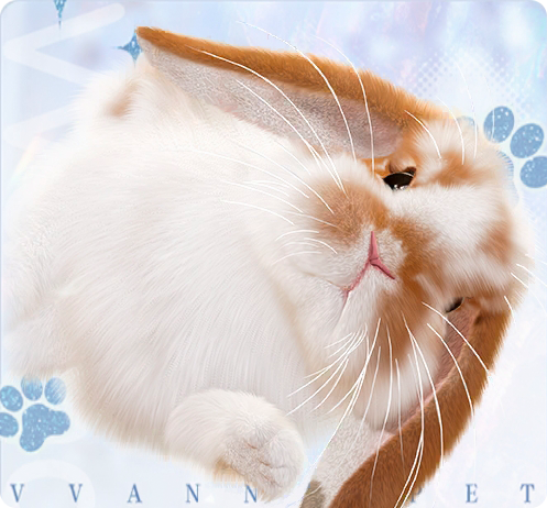 宠物·碎花大耳兔图标.png