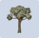 家具·织叶成景图标.png