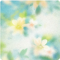 背景·晴溪花漾图标.png