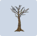 家具·玉翠枝图标.png