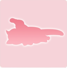 宠物动作·露肚皮图标.png