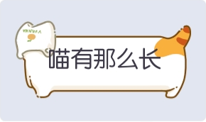 气泡·喵有那么长预览