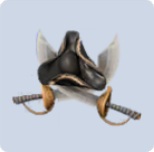 家具·风帆探险图标.png