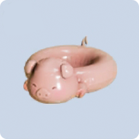 泳圈·小猪爱划水图标.png