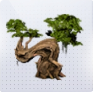 家具·异木逢春图标.png