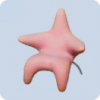 家具·海星秘密图标