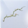林木溯生图标.png