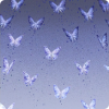 改版·蓝蝶之空图标.png