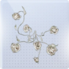 拂我生花图标.png