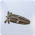 星芒之仪图标.png