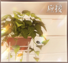 教程-应援图标.png