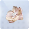 浅屿汐花图标.png