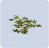 家具·春风渡关图标