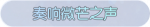 称号·奏响微芒之声预览.png