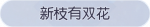 称号·新枝有双花预览.png