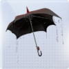 暮伞归期图标.png