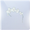 寂憩花园图标.png
