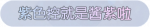 称号·紫色控就是酱紫啦预览.png