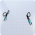 潮语结结图标.png