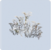 家具·簌簌雪晴图标