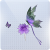 须臾芳华图标.png