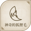 宝藏·神奇的狐狸毛图标.png