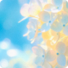 背景·无尽花海图标