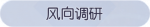 称号·风向调研预览.png