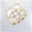 星光分解币图标.png