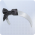 绸光圆舞图标.png
