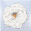 缀饰·静待花绽图标.png
