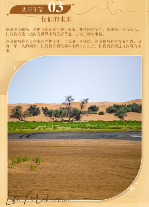 联动-沙漠邮局-公益活动3.png