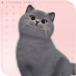 宠物·英短蓝猫图标