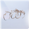 雾隐花踪图标.png