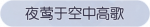 称号·夜莺于空中高歌预览.png