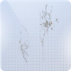 辉光圣域图标.png