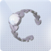 折叶风信图标.png