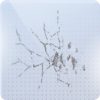 圣裁烬约图标.png