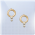 金环珍落图标.png