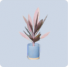 家具·粉笺花语图标