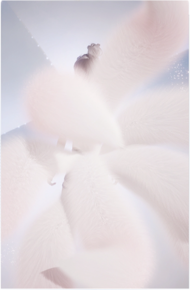 文件:九命琉火-造型3预览.png