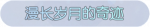 称号·漫长岁月的奇迹预览.png