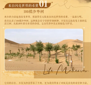 联动-沙漠邮局-公益活动1.png